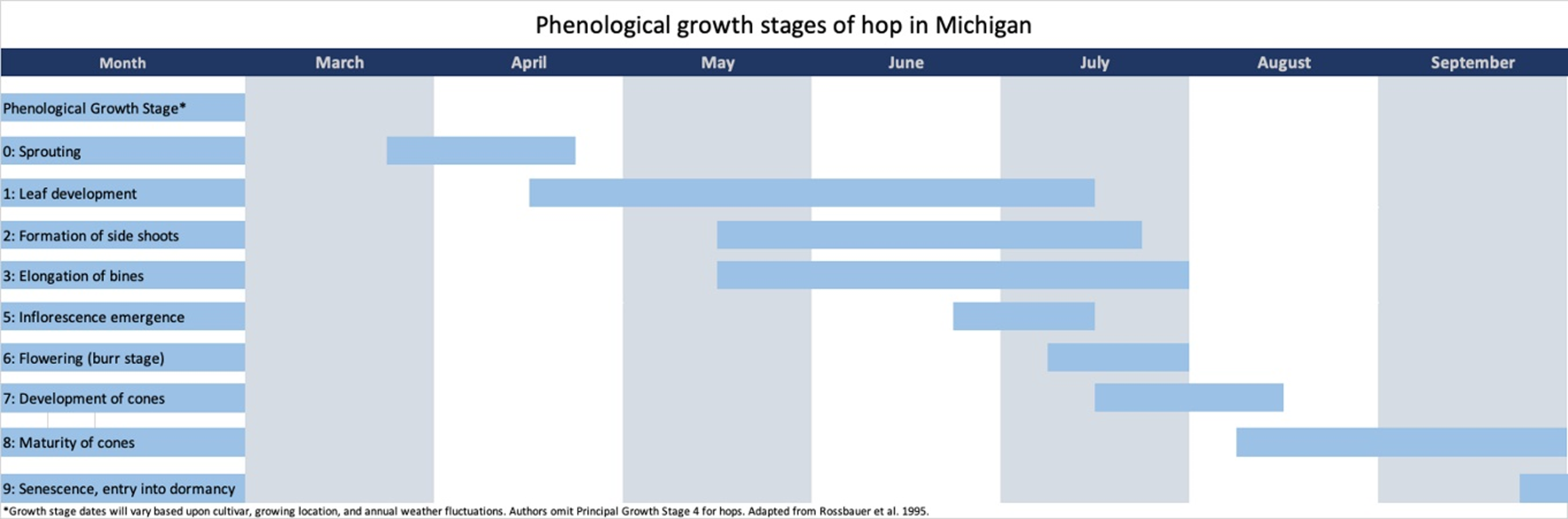 Phenological growth stages of hop in Michigan.
